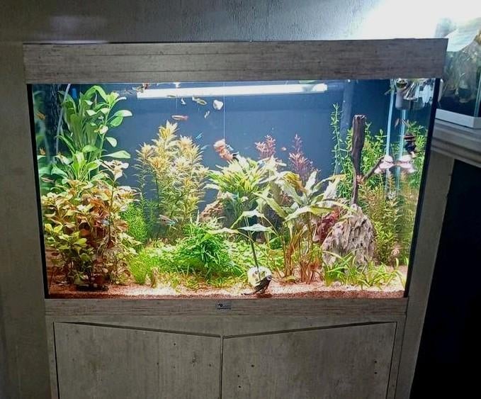 Aquatlantis aquarium met kast,zie omschrijving, Dieren en Toebehoren, Ophalen, Zo goed als nieuw, Gevuld zoetwateraquarium