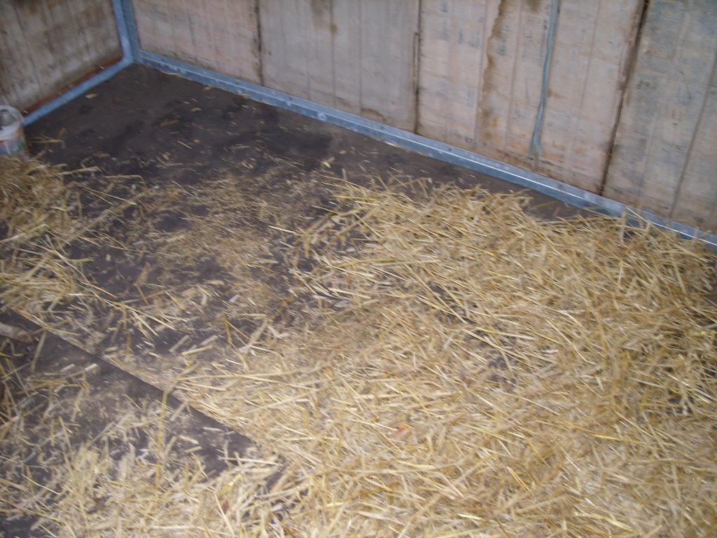 stalmatten  rubber op rol, Weidegang