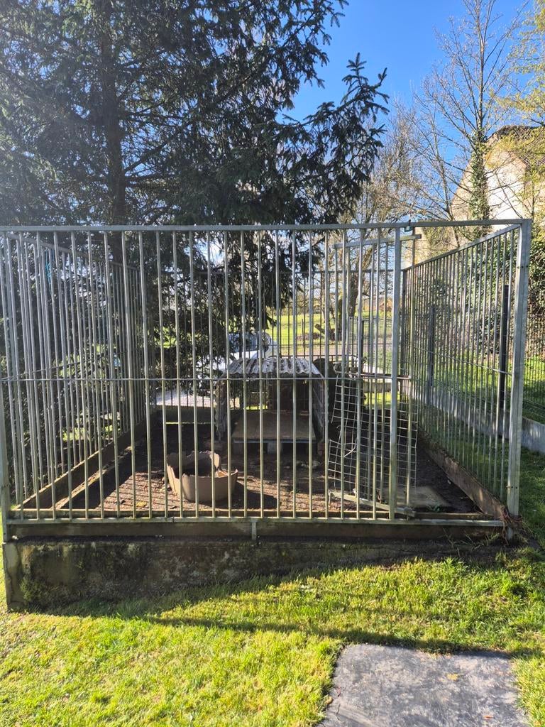 Chenil, Animaux & Accessoires, Enlèvement