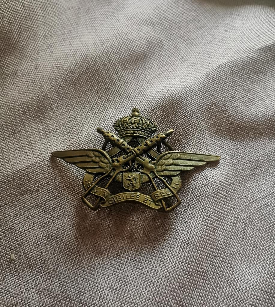 Insigne militaire belge, Enlèvement