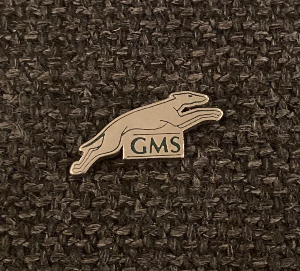 PIN - GMS - HOND - WINDHOND - CHIEN - DOG, Verzenden, Gebruikt, Overige onderwerpen, Speldje of Pin