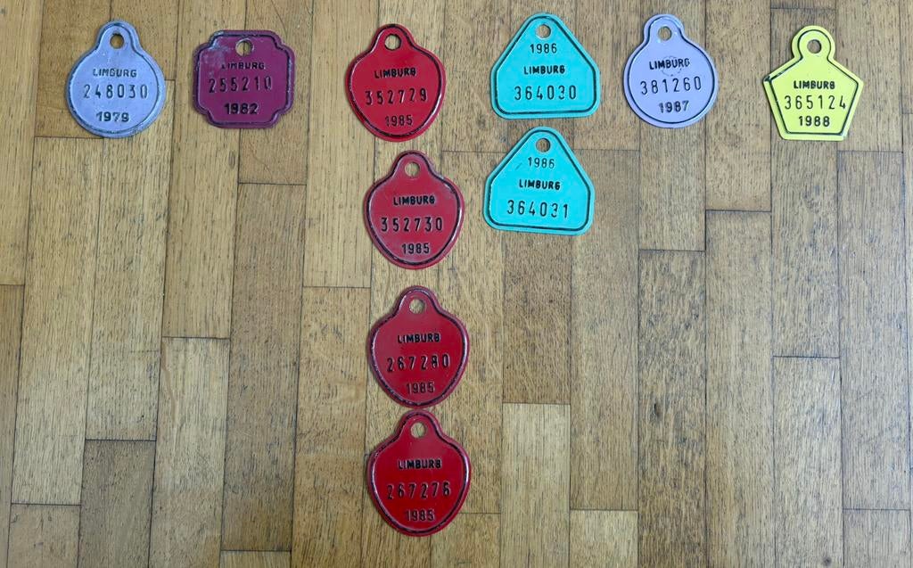 Fietsplaten uit Limburg (jaren ‘70 en ‘80), Enlèvement ou Envoi, Utilisé