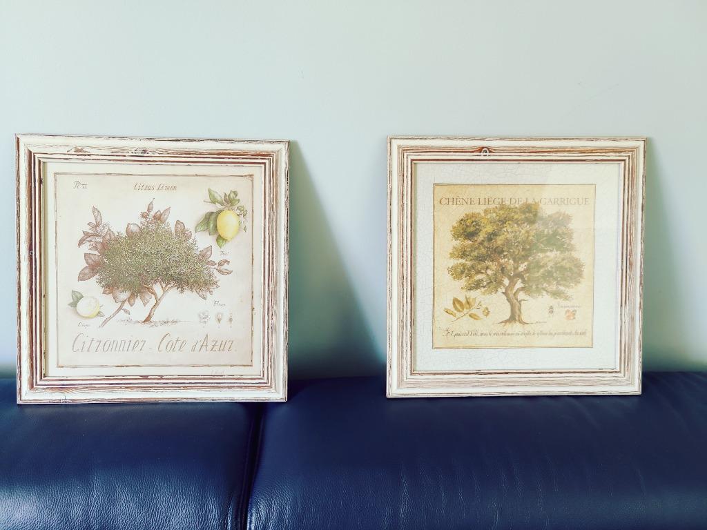 2 Botanische Prenten – Zuid-Frankrijk, Ophalen of Verzenden