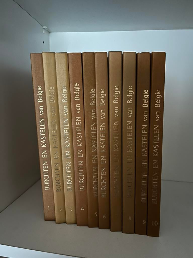 10 boeken burchten en kastelen in Belgie, Boeken, Geschiedenis | Nationaal, Ophalen, Zo goed als nieuw