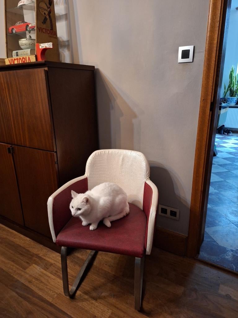 Vier vintage stoelen in rood en wit met frame in chroom, Ophalen, Rood, Vier