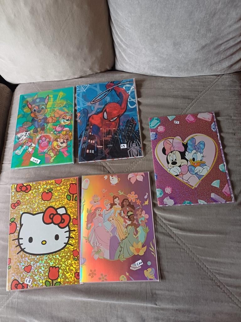 5 grandes carte Disney neuf, Enlèvement