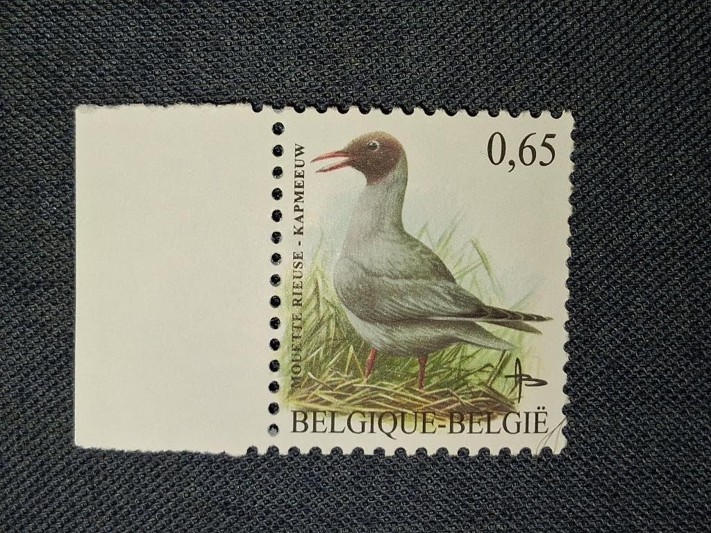 Timbre Belgique - Mouette rieuse (Kapmeeuw) - Neuf, Neuf, Enlèvement ou Envoi, Timbre-poste, Non oblitéré
