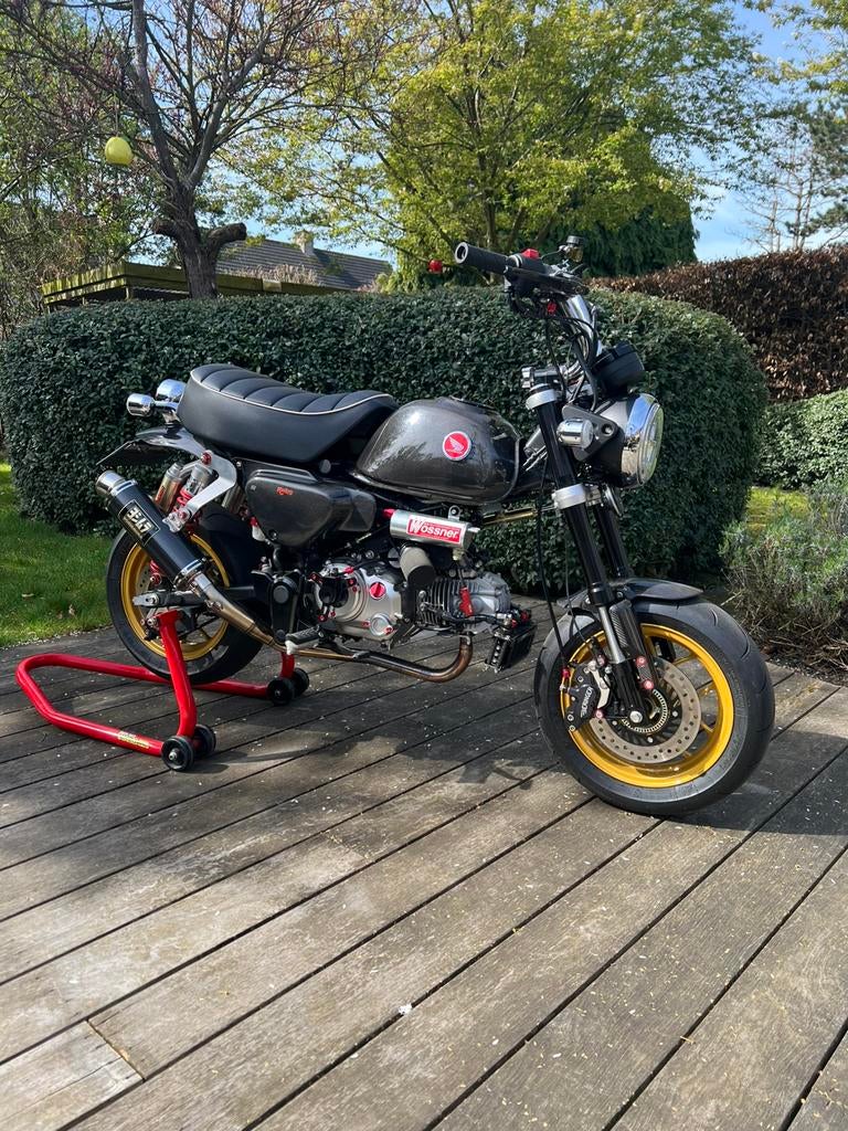 Honda monkey 125, Particulier