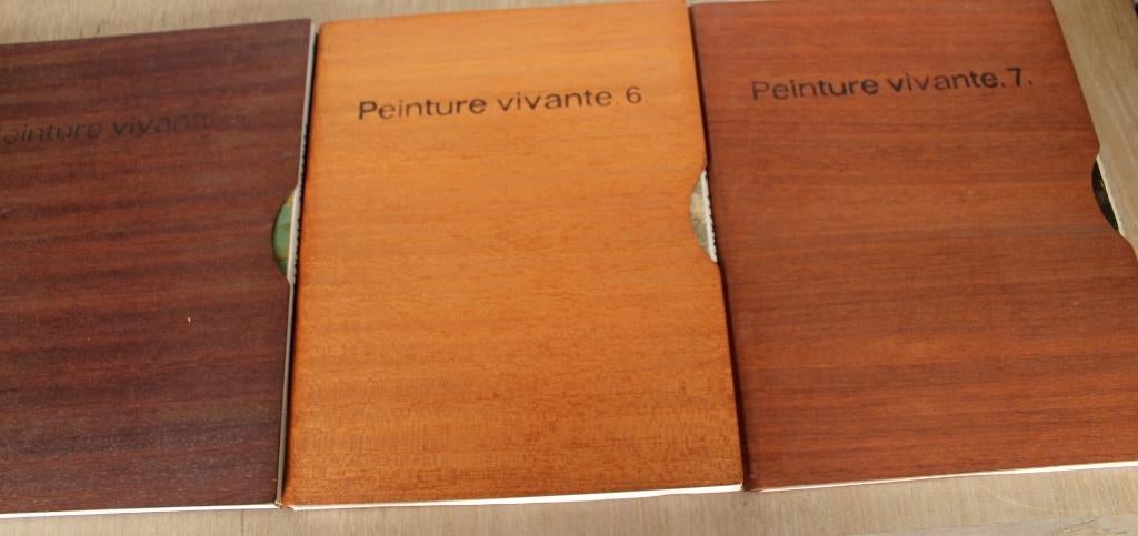 Peinture vivante 5-6-7, collections Cultura BXL, 67-70, Peinture et dessin, Enlèvement ou Envoi, Cultura Brussel, Comme neuf