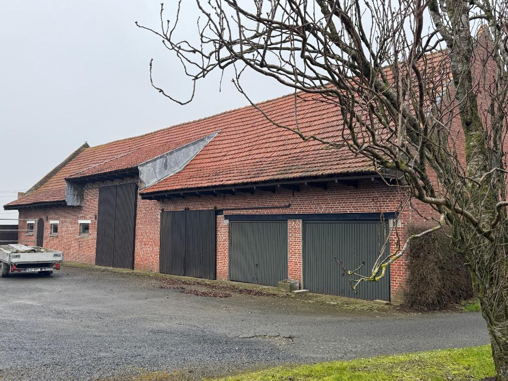 Grand lot de tuiles anciennes (600 m²) - ferme du manoir, Pierre ou Argile, Enlèvement, Utilisé, Rouge