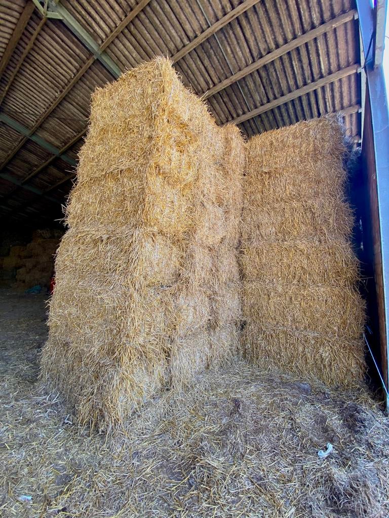 Stro te koop 2025, Enlèvement