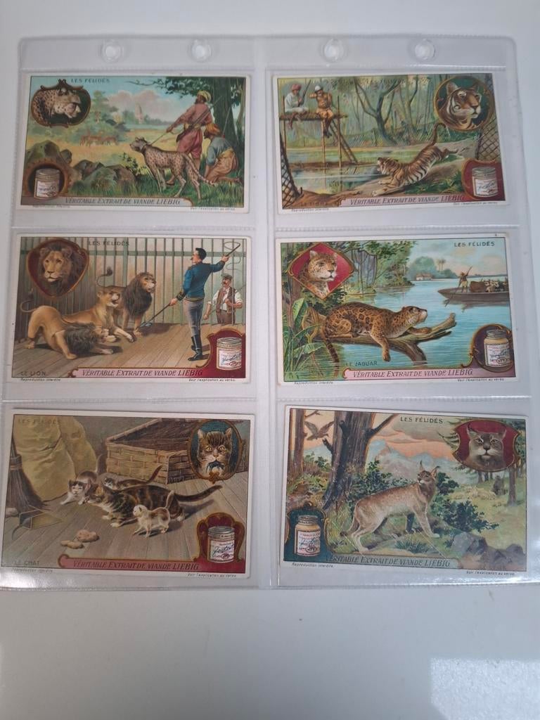 Liebig, Collections, Enlèvement ou Envoi