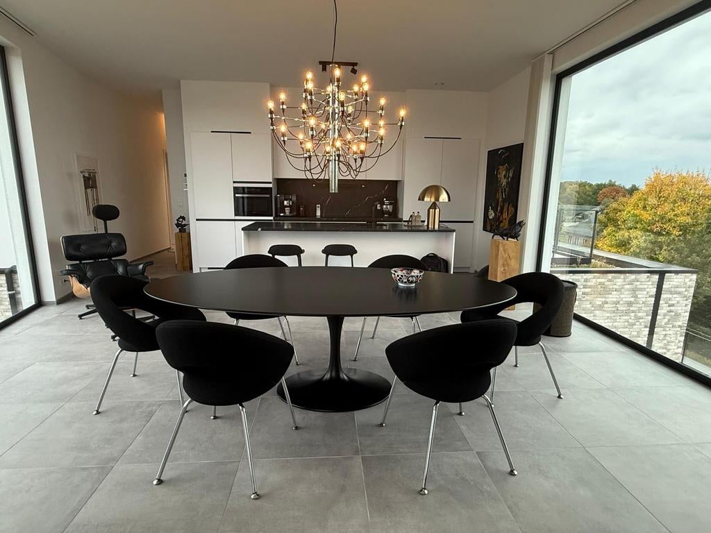 table 244x137 tulipe eero saarinen chaises tulipe, Enlèvement ou Envoi