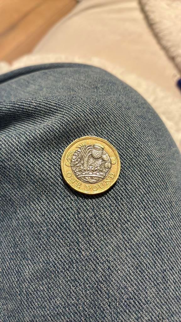 One pound met queen Elizabeth op de achterkant van 2016, Postzegels en Munten, Ophalen, Overige landen, 2 euro, Losse munt