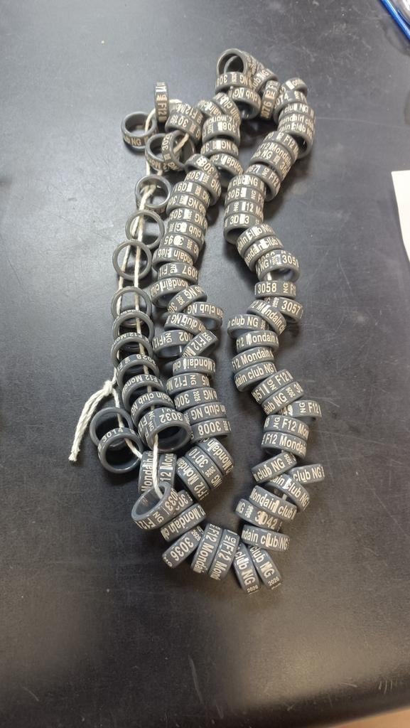 Bagues oiseaux en plastique 2026 pigeon poules coques canard, Enlèvement ou Envoi, Neuf, Autres types