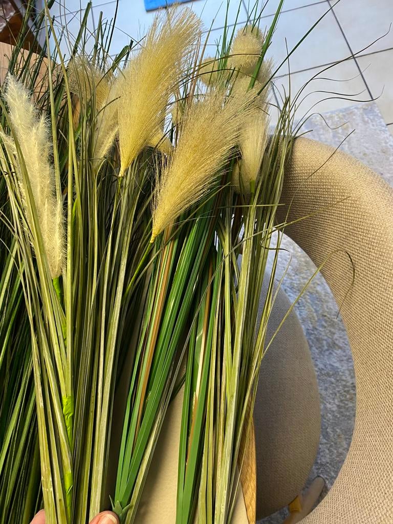 Mooie namaakgrassen, Ophalen, Nieuw