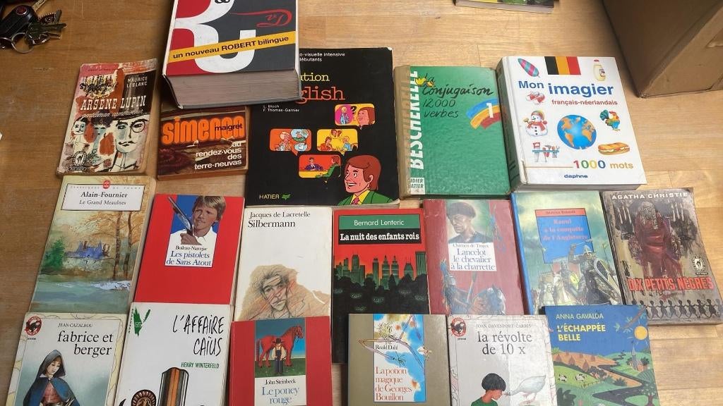 Lot de 19 livres romans pour l'ecole secondaire, Livres, Enlèvement ou Envoi, Secondaire