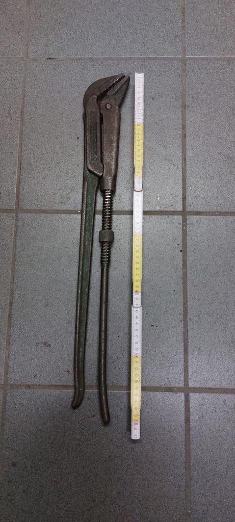 Buistang /pijptang, Ophalen of Verzenden