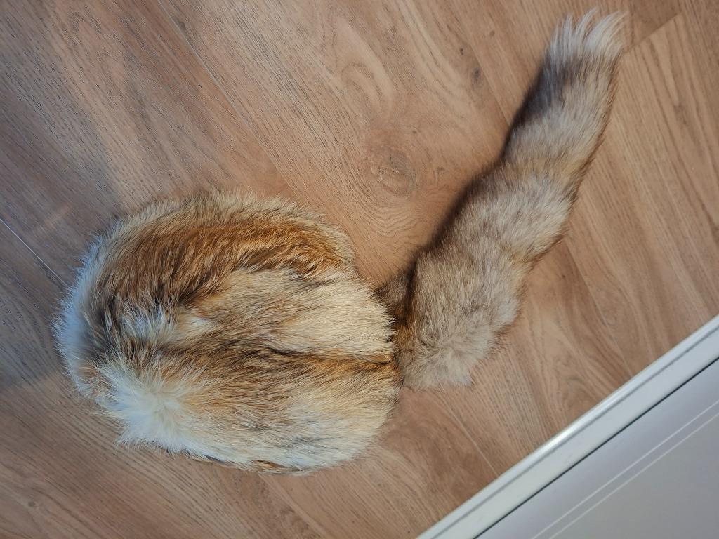 Muts in bont met staart, nieuw, Kleding | Dames, Mutsen, Sjaals en Handschoenen, Ophalen, Nieuw, Muts