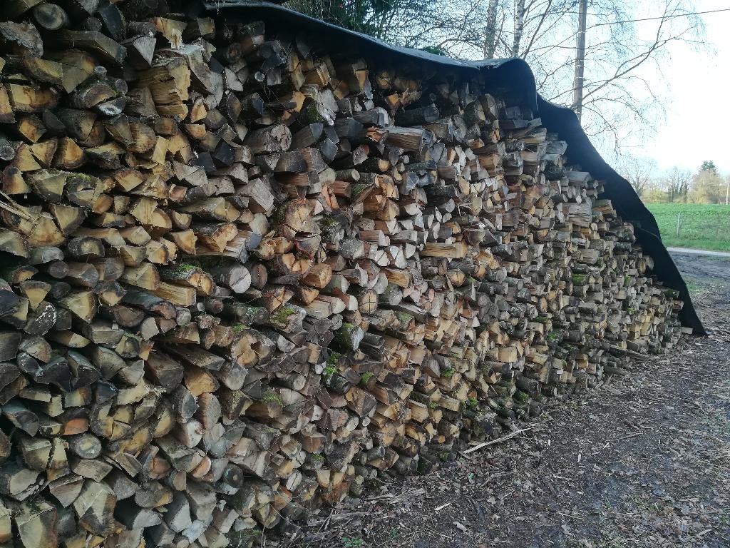 Bois de chauffage, Enlèvement, Hêtre, Bûches