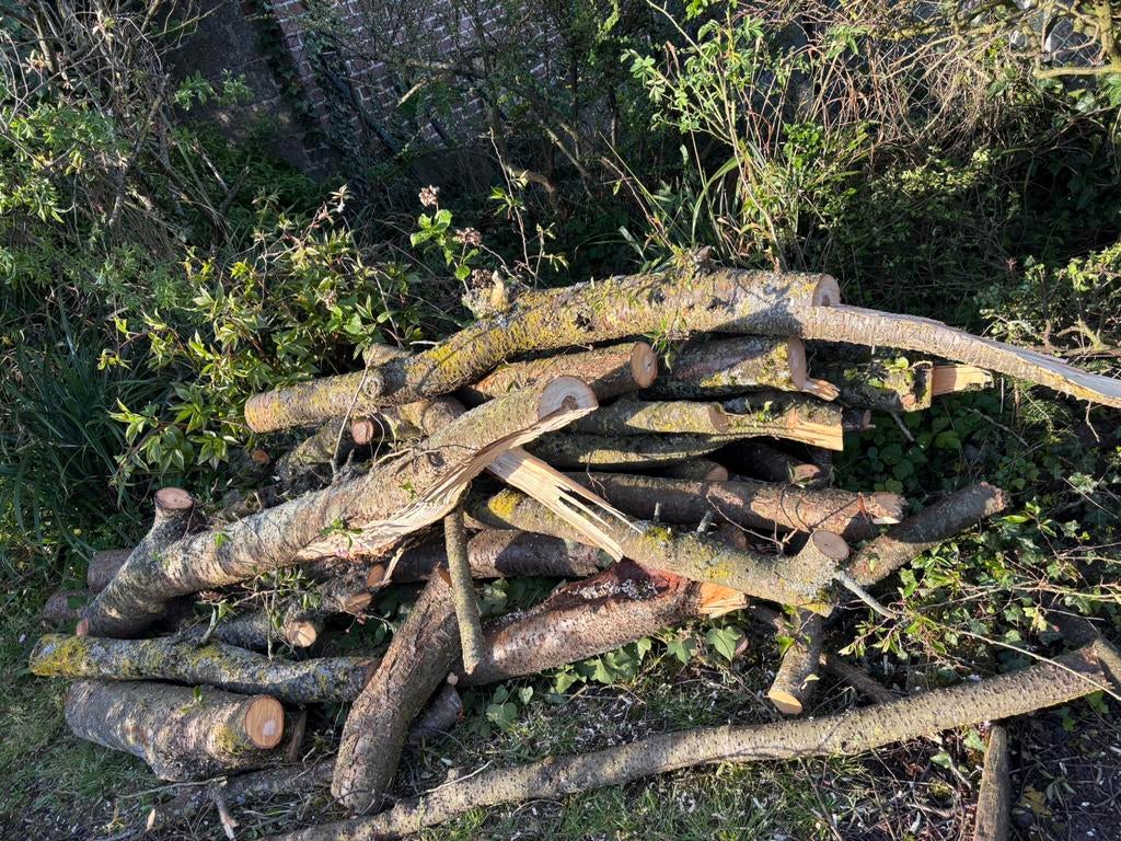 Gratis brandhout, Ophalen