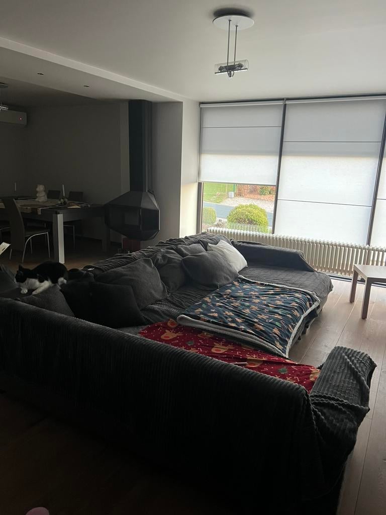 Grote Sofa/ Bank, Immo