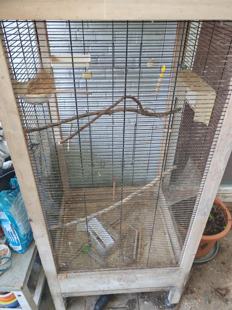 Vogel kooi, Dieren en Toebehoren, Ophalen