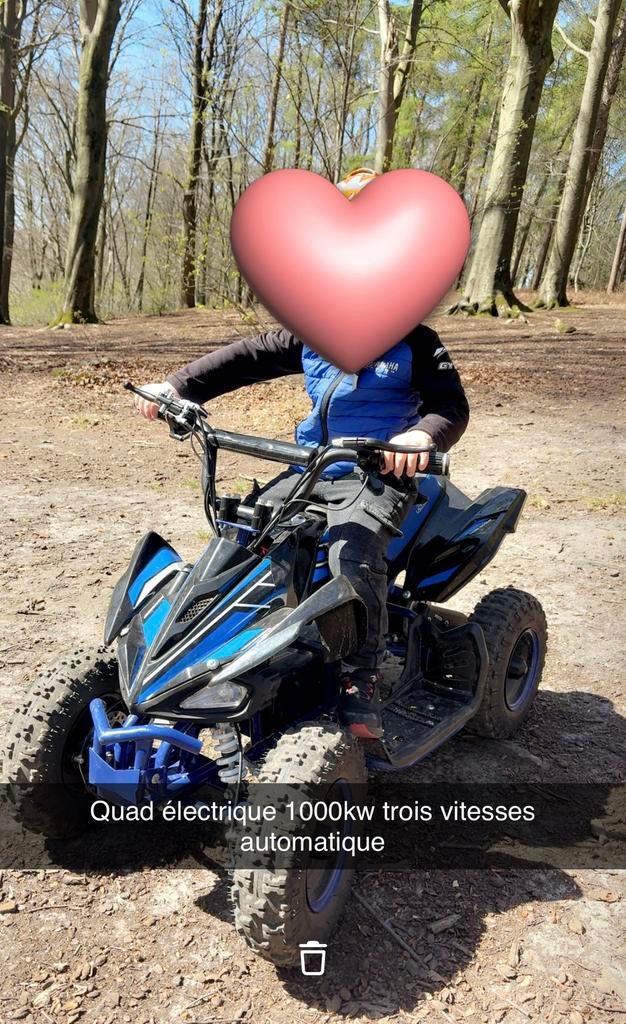 Quad électrique 1000kw, Vélos & Vélomoteurs, Mini Bikes, Midi Bikes & Pit Bikes, Enlèvement, Comme neuf