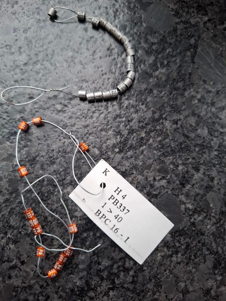 30 Ringen voor vogels