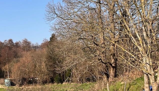 Te koop: Percelen hooiland/weiland Grote Baan Houthalen, Immo, Gronden en Bouwgronden, Verkoop zonder makelaar