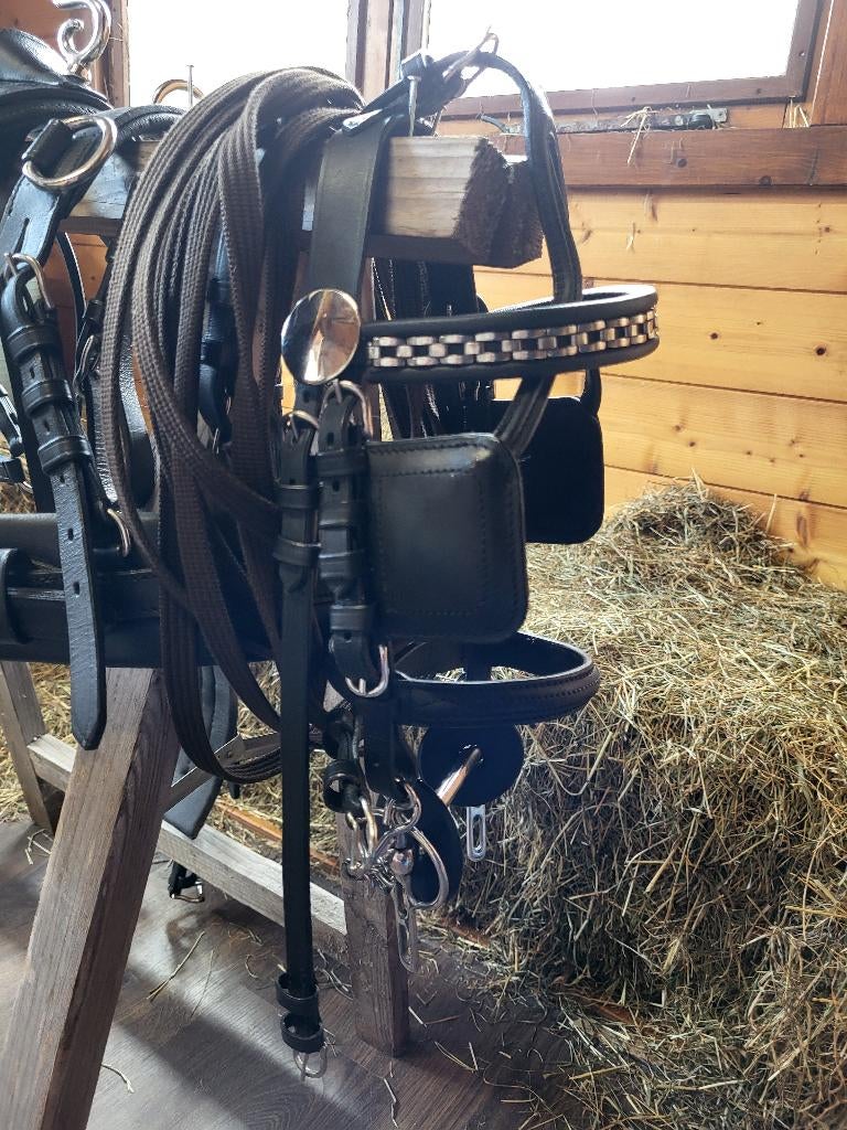 Mini shetlander mentuig, Zo goed als nieuw, Overige typen, Pony, Gesloten