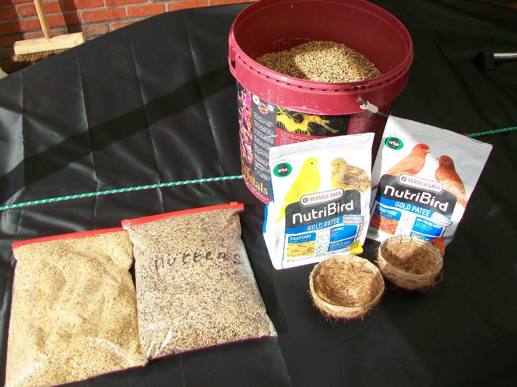 kanarie voeding, Dieren en Toebehoren, Vogels | Kanaries, Zangkanarie