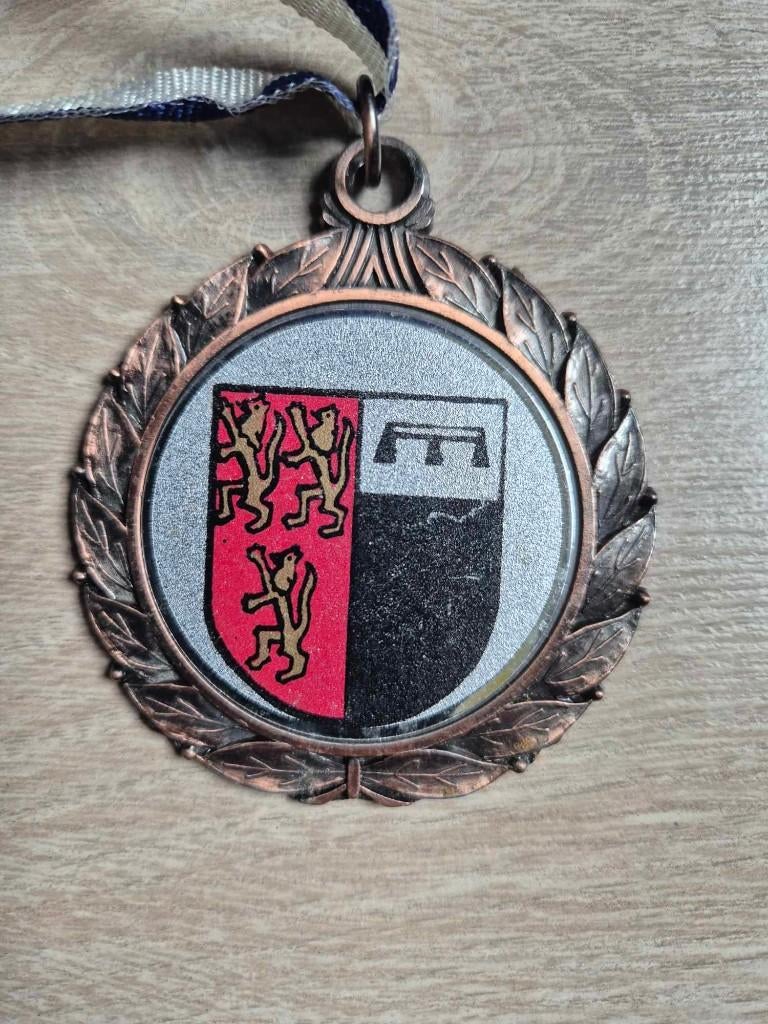 Carnaval medaille Denderleeuw 1991, Enlèvement ou Envoi