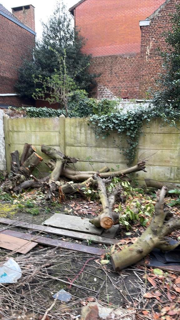 Bois a donner, Jardin & Terrasse, Enlèvement, Comme neuf, Bois
