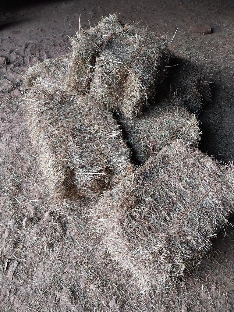 Hooi kleine balen, Dieren en Toebehoren, Ophalen