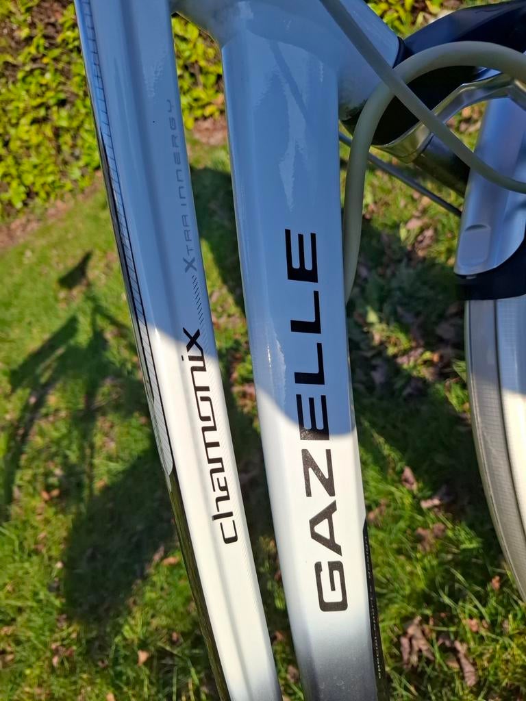 Gazelle Chamonix Elektrische Fiets – Framemaat 54 cm – €550, Fietsen en Brommers, Ophalen of Verzenden, Gazelle