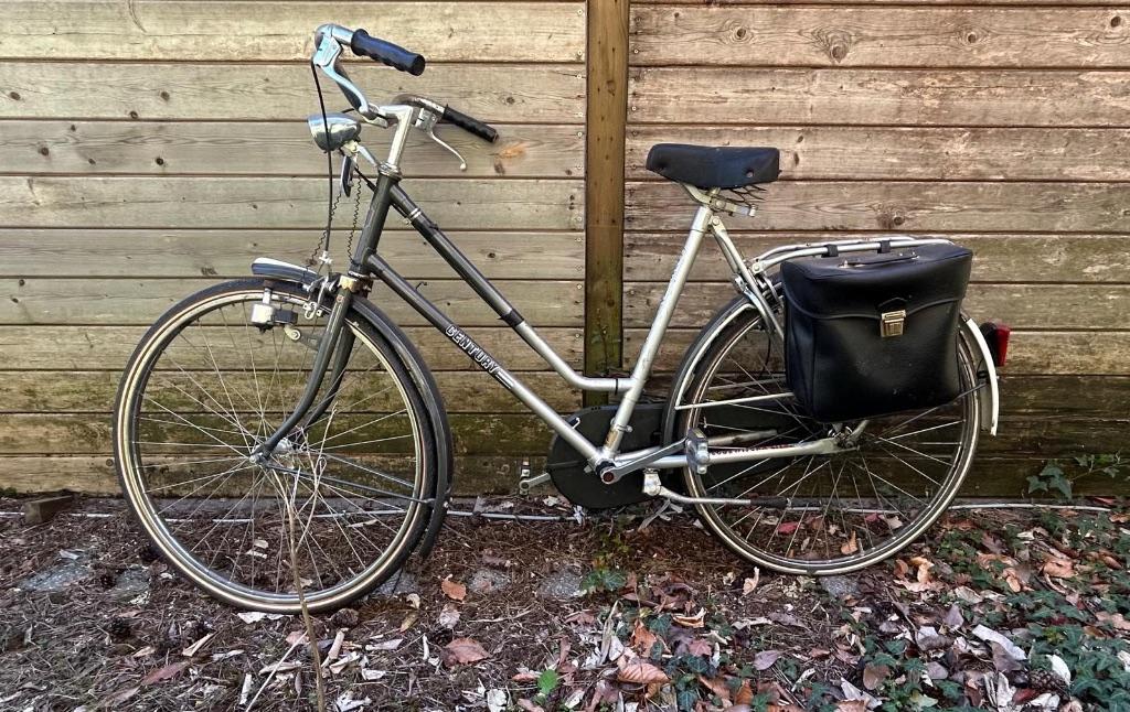 Dames fiets, Enlèvement, Utilisé, Autres marques