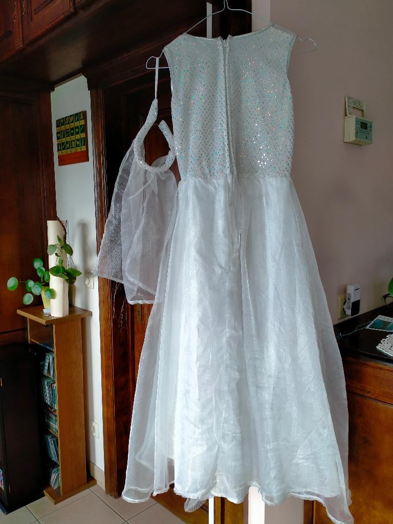 Verkleedkledij, Ophalen of Verzenden, Gebruikt, 134 t/m 140, Meisje