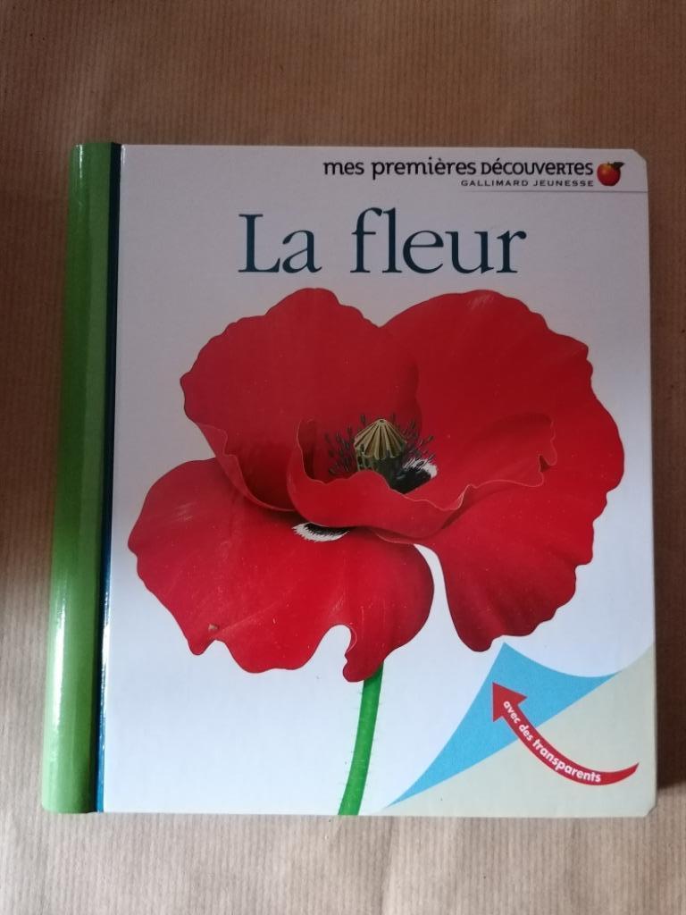 La fleur - René Mettler Mes premières découvertes 3-6ans, Livres, Livres pour enfants | 4 ans et plus, Utilisé, Enlèvement ou Envoi