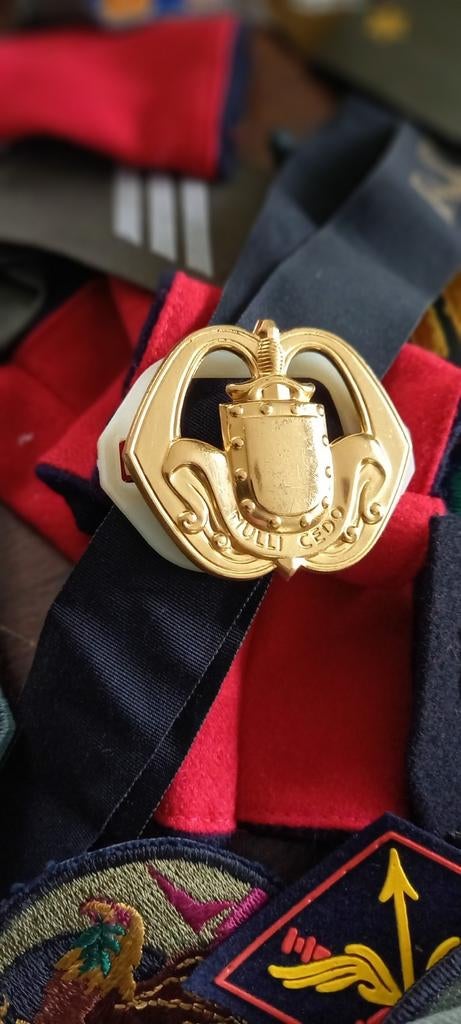 Militaire kentekens, Verzamelen, Militaria | Algemeen, Ophalen of Verzenden