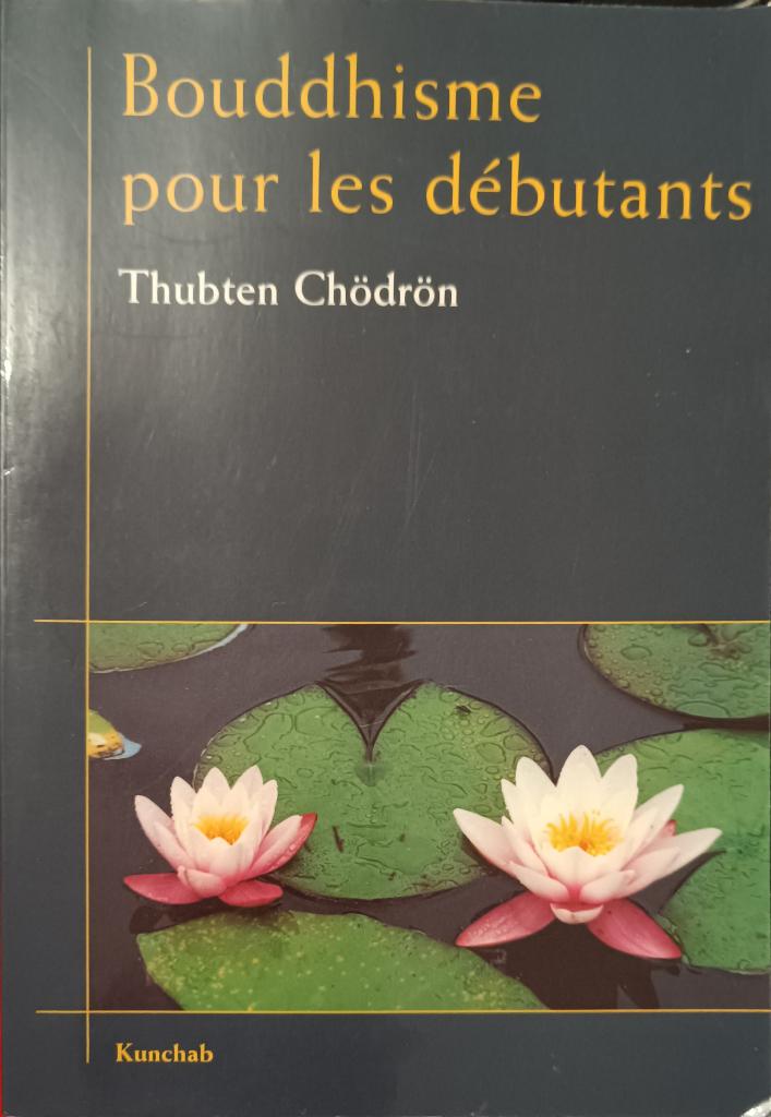 Bouddhisme pour les débutants : Thubten Chödrön, Livres, Ésotérisme & Spiritualité, Utilisé, Arrière-plan et information, Méditation ou Yoga