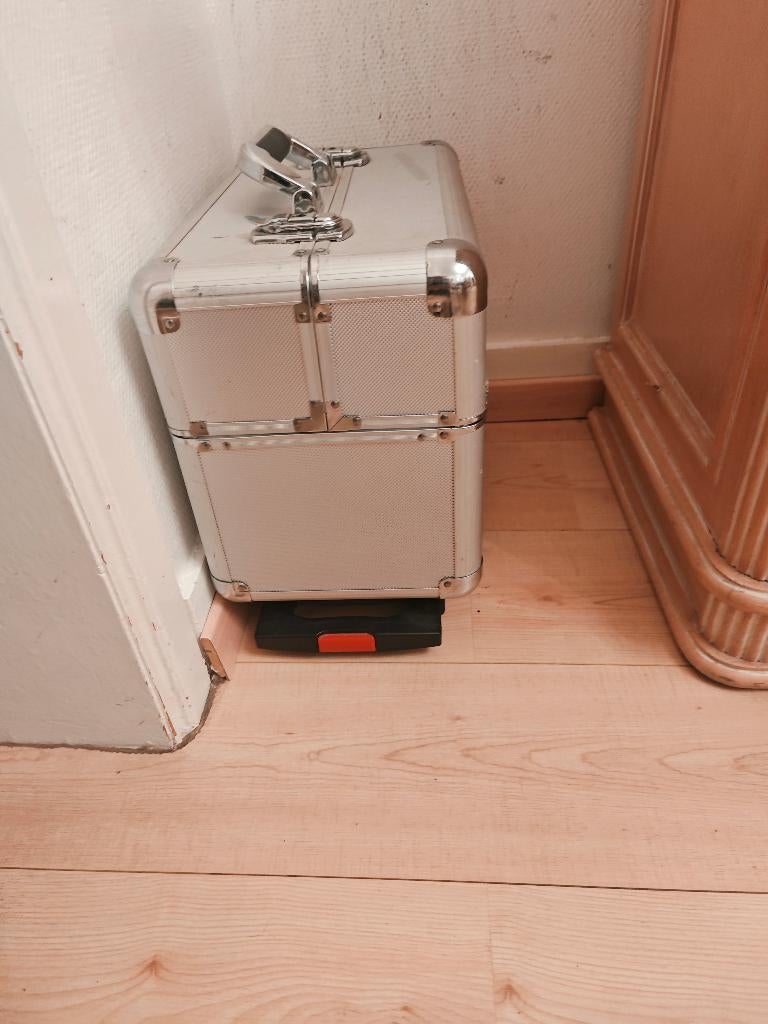 Valise argenté esthétique sur roue, Bijoux, Sacs & Beauté, Beauté | Cosmétiques & Maquillage, Comme neuf, Maquillage, Mains et Ongles