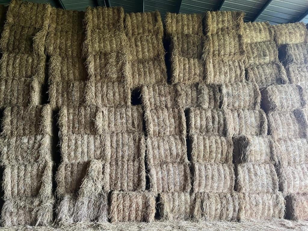 Weidehooi, Ophalen, Vee