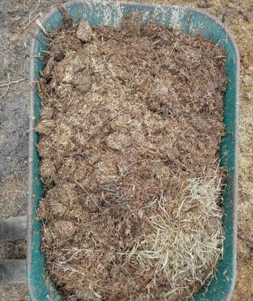 Paardenmest  gratis af te halen!!, Dieren en Toebehoren, Paarden en Pony's | Overige Paardenspullen, Ophalen