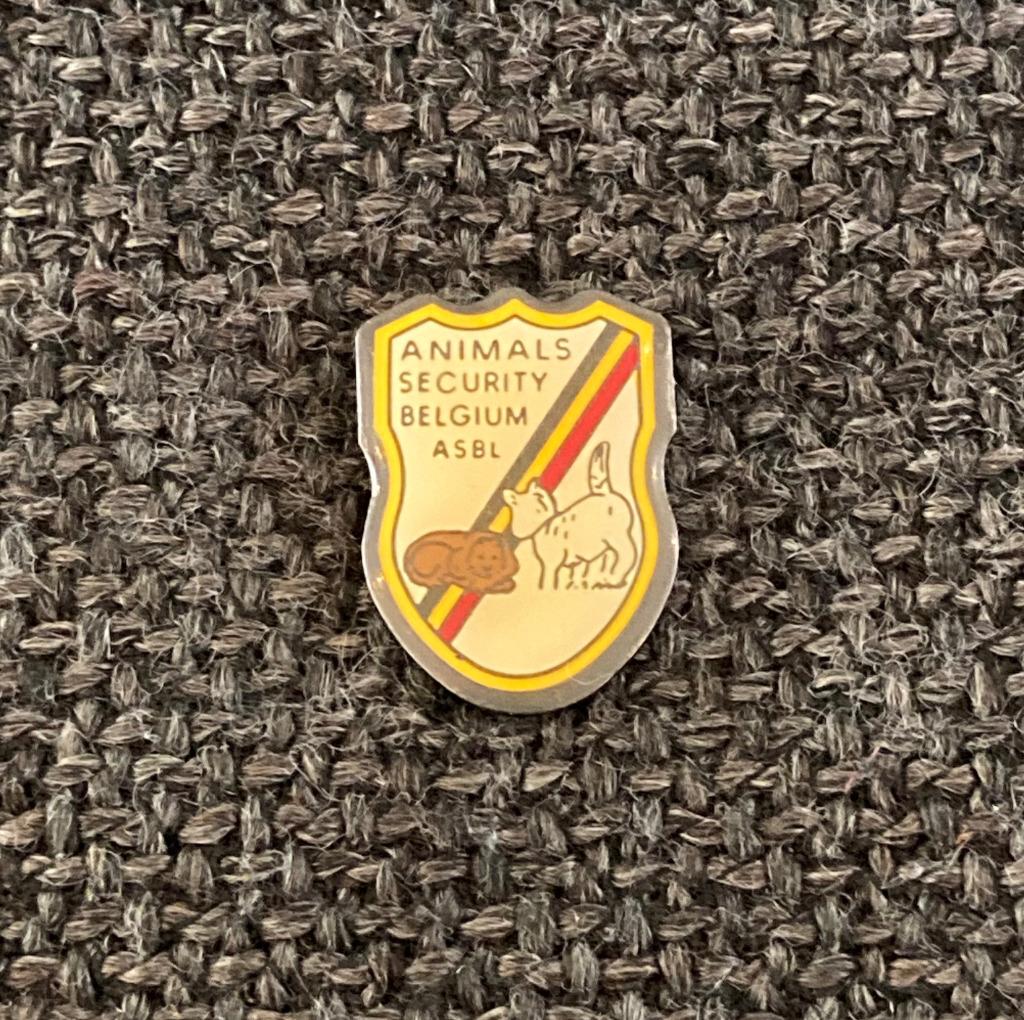 PIN - ASBL - ANIMALS SECURITY BELGIUM - DIEREN - KAT - HOND, Collections, Broches, Pins & Badges, Envoi, Utilisé, Animal et Nature