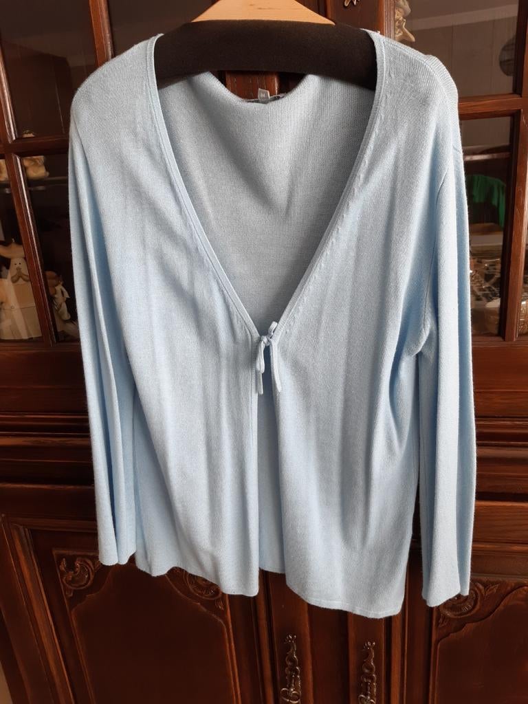 NafNaf licht blauw vest maat M, Vêtements | Femmes, Pulls & Gilets, Taille 38/40 (M), Enlèvement ou Envoi, Porté, Bleu