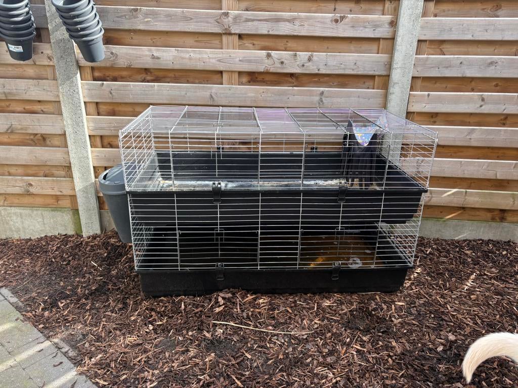 Gratis dubbele kooi, Dieren en Toebehoren, Ophalen, Kooi, 60 tot 90 cm, Cavia