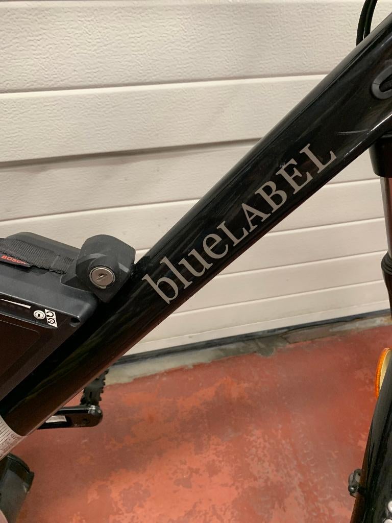 Riese & Müller (E-bike/Speed pedelec), Vélos & Vélomoteurs, 51 à 55 cm, Enlèvement, Utilisé, Riese & Müller