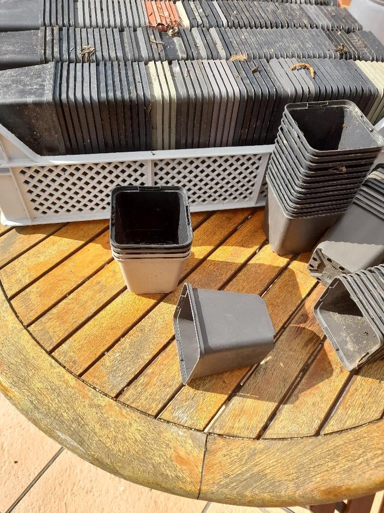 petit pots en plastic, Moins de 25 cm, Carré, Synthétique, Enlèvement