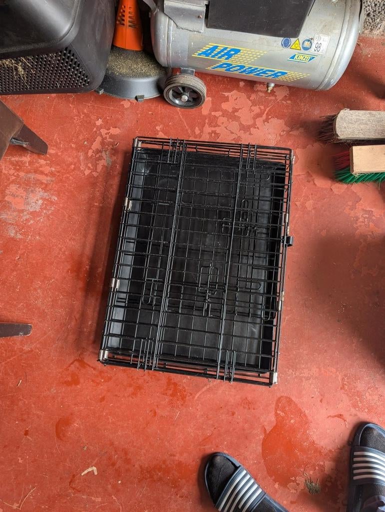 Bench voor klein hondje, Enlèvement